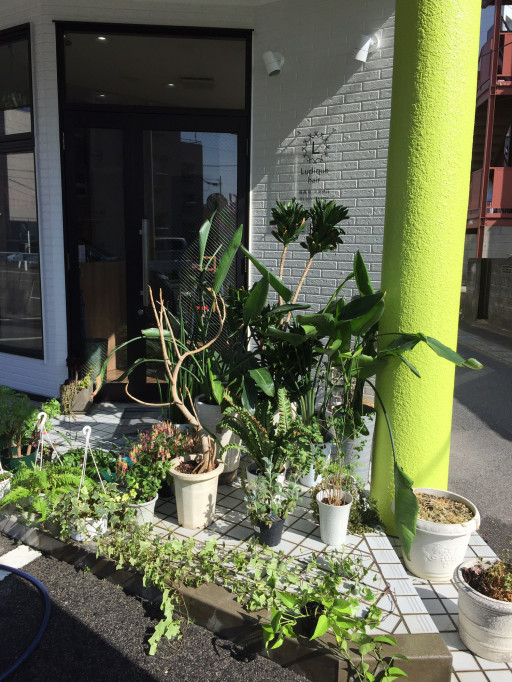 Ludique Hair ルディックヘアー 三重 津市 江戸橋 美容室 美容師の記事一覧 ページ3