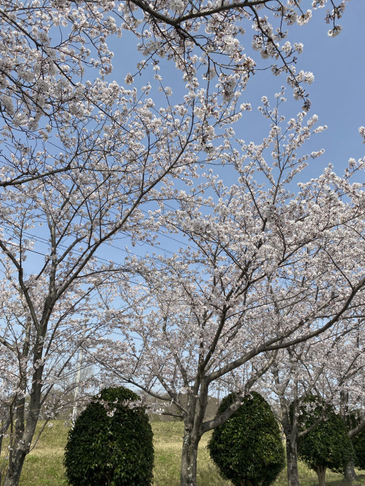 Ludique Hair ルディックヘアー 三重 津市 江戸橋 美容室 美容師の記事一覧 ページ1