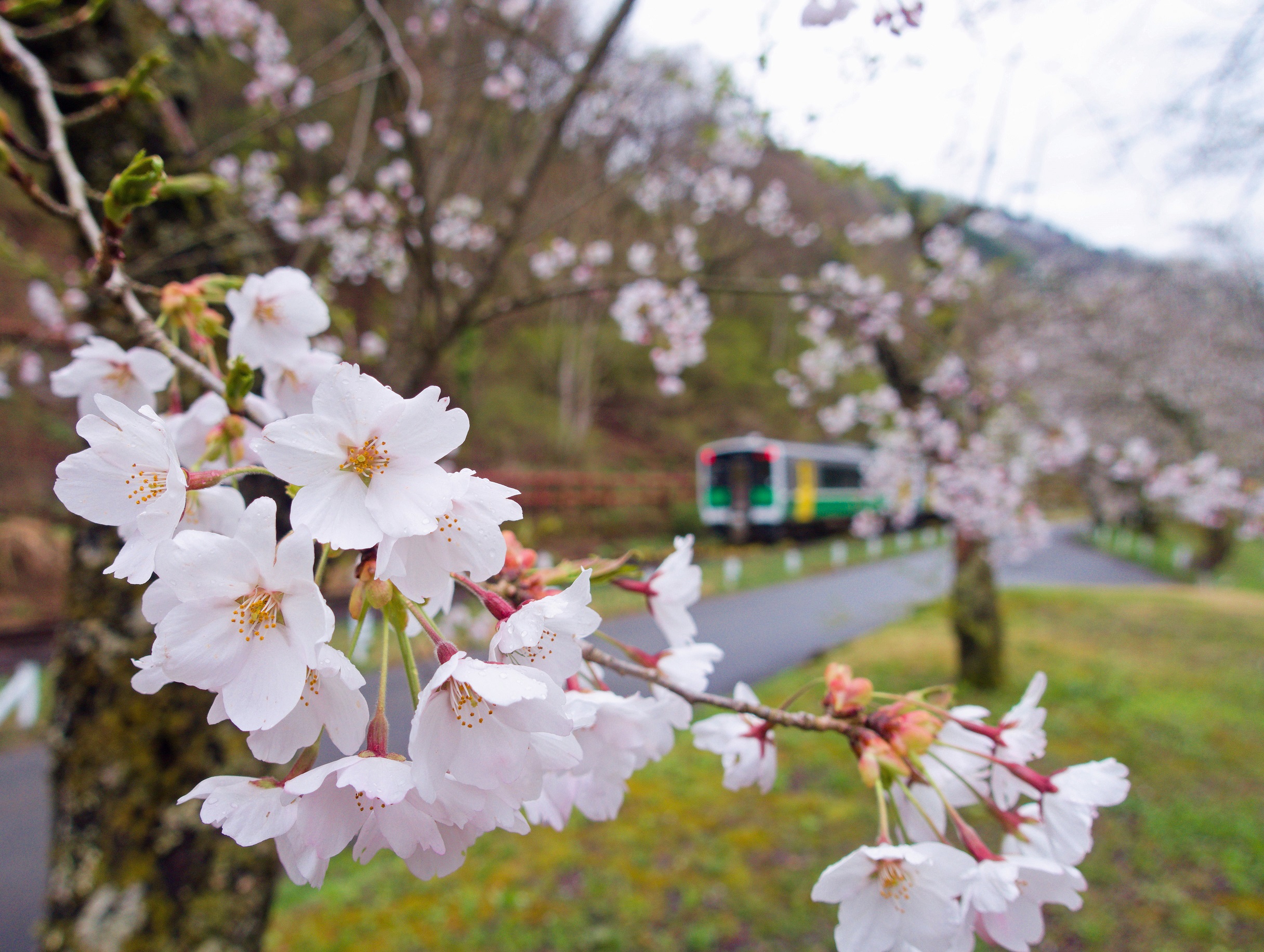 099a06be24e14a7500080c5cb2a791