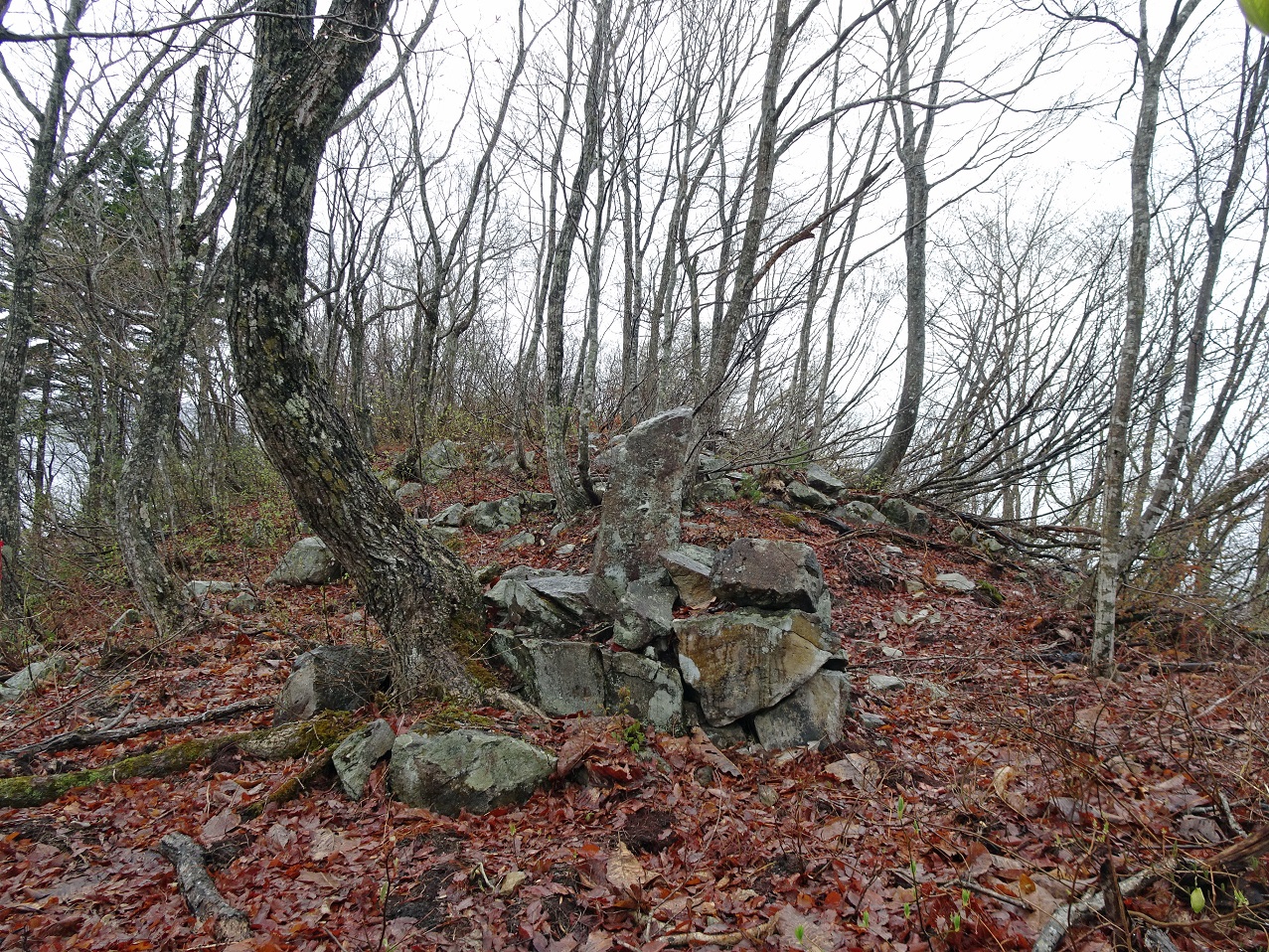 昭和村「高館山」登山 2021年 春 | 次はいつ乗る? 只見線 昭和村「高館山」登山 2021年 春 | 次はいつ乗る? 只見線