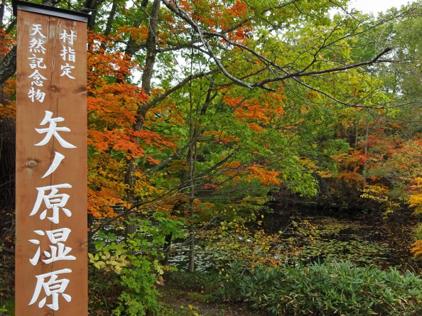 昭和村 矢ノ原湿原 17年 紅葉 次はいつ乗る 只見線