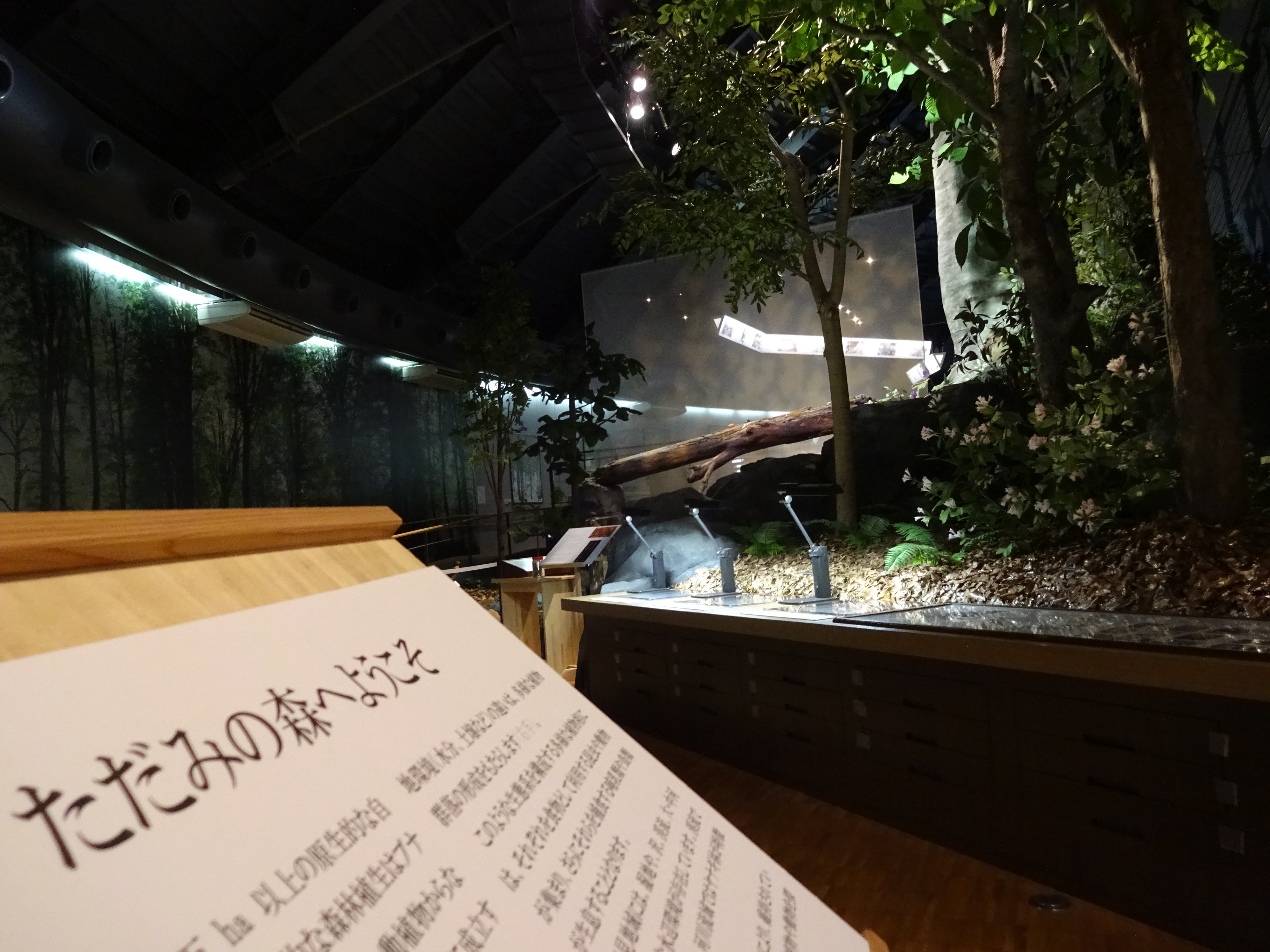 只見町「ブナセンター」 2015年 早春 | 次はいつ乗る？ 只見線