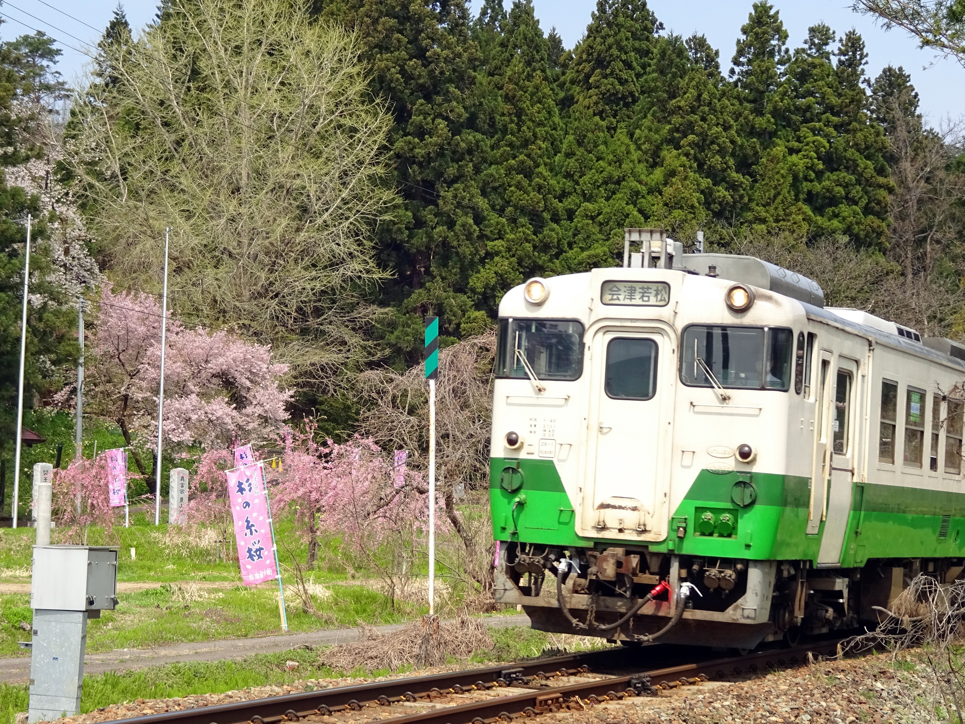 会津美里町・会津坂下町「さくら」 2018年 春 | 次はいつ乗る？ 只見線