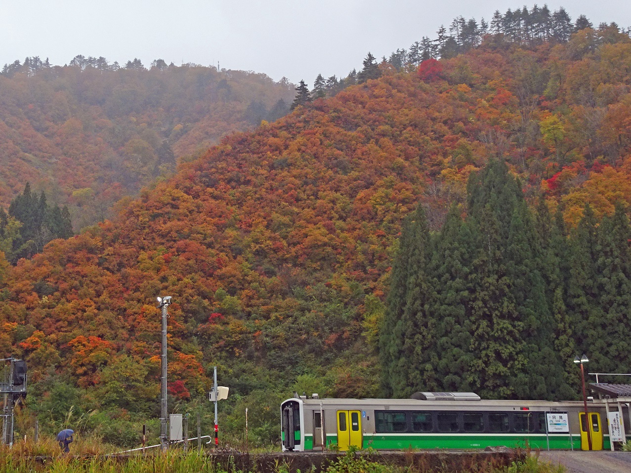 臨時列車” 小出9時15分発・会津若松行き乗車 2025年 紅葉 | 次はいつ