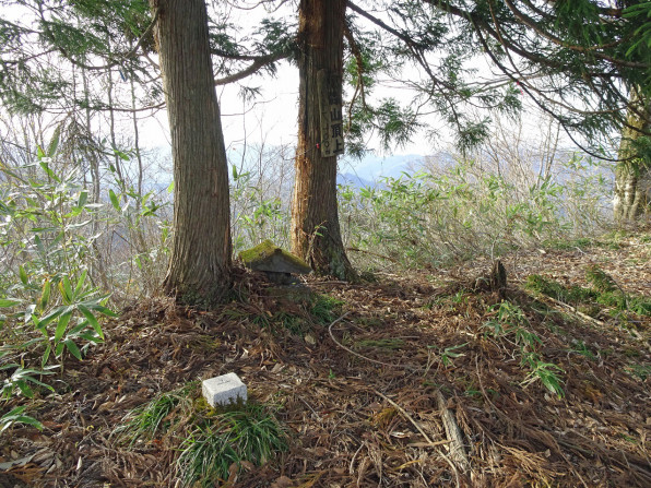 金山町 高森山 登山 21年 春 次はいつ乗る 只見線