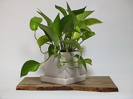 骨董品 天然木台付きくりぬき花瓶 木製抽象花器 高さ約30cm 2026