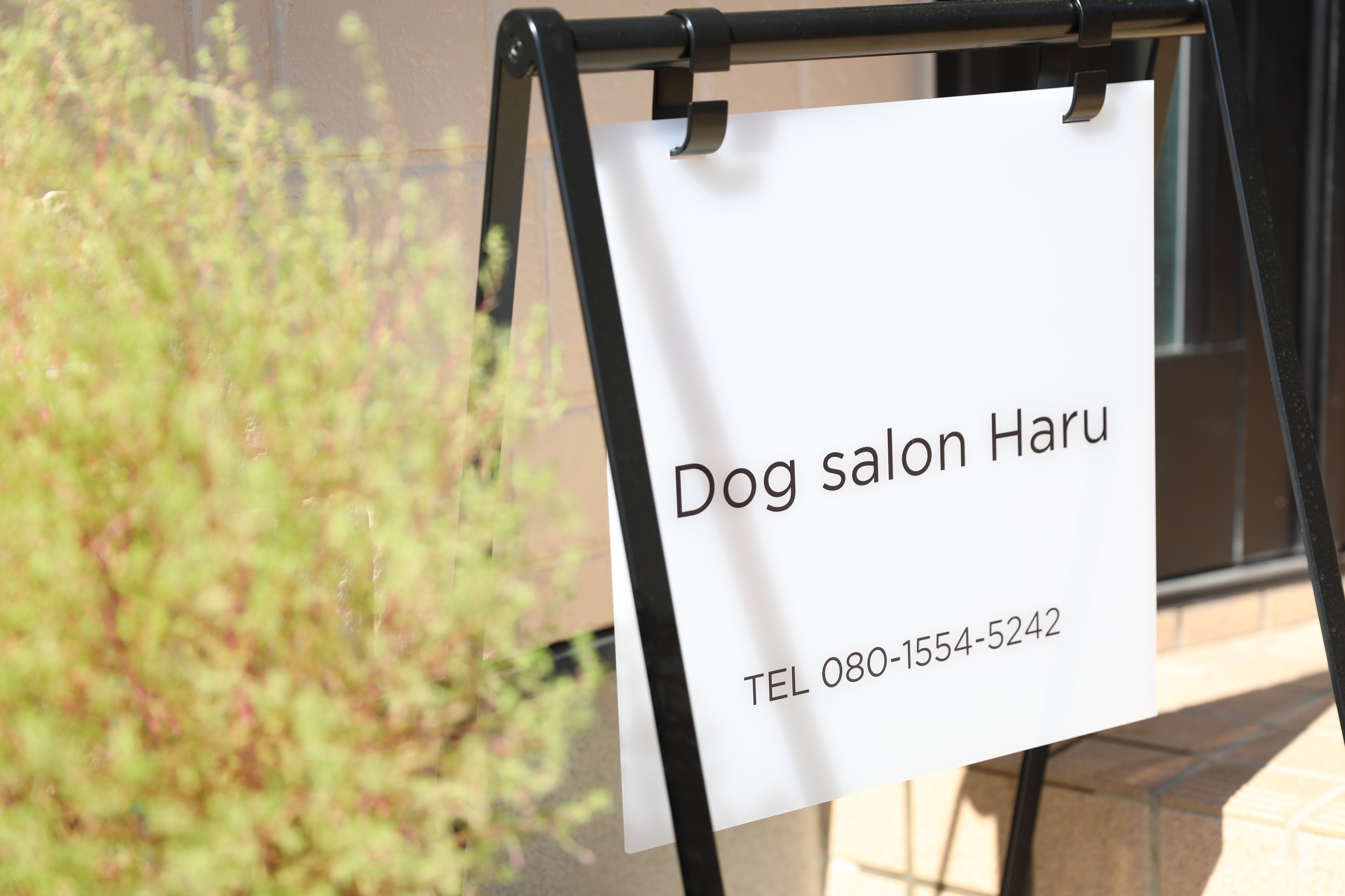 Dog salon Haruの外観