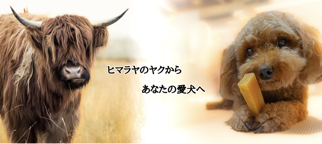 Himalayan yak cheese | Churupii