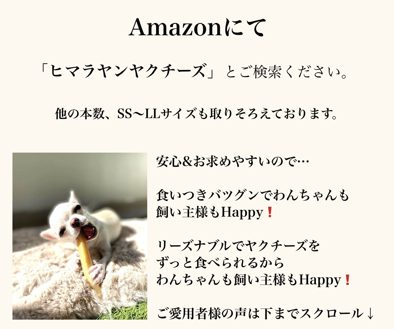 期間限定価格！ヒマラヤ産ヤクチーズ Mサイズ 10本セットまとめ売り