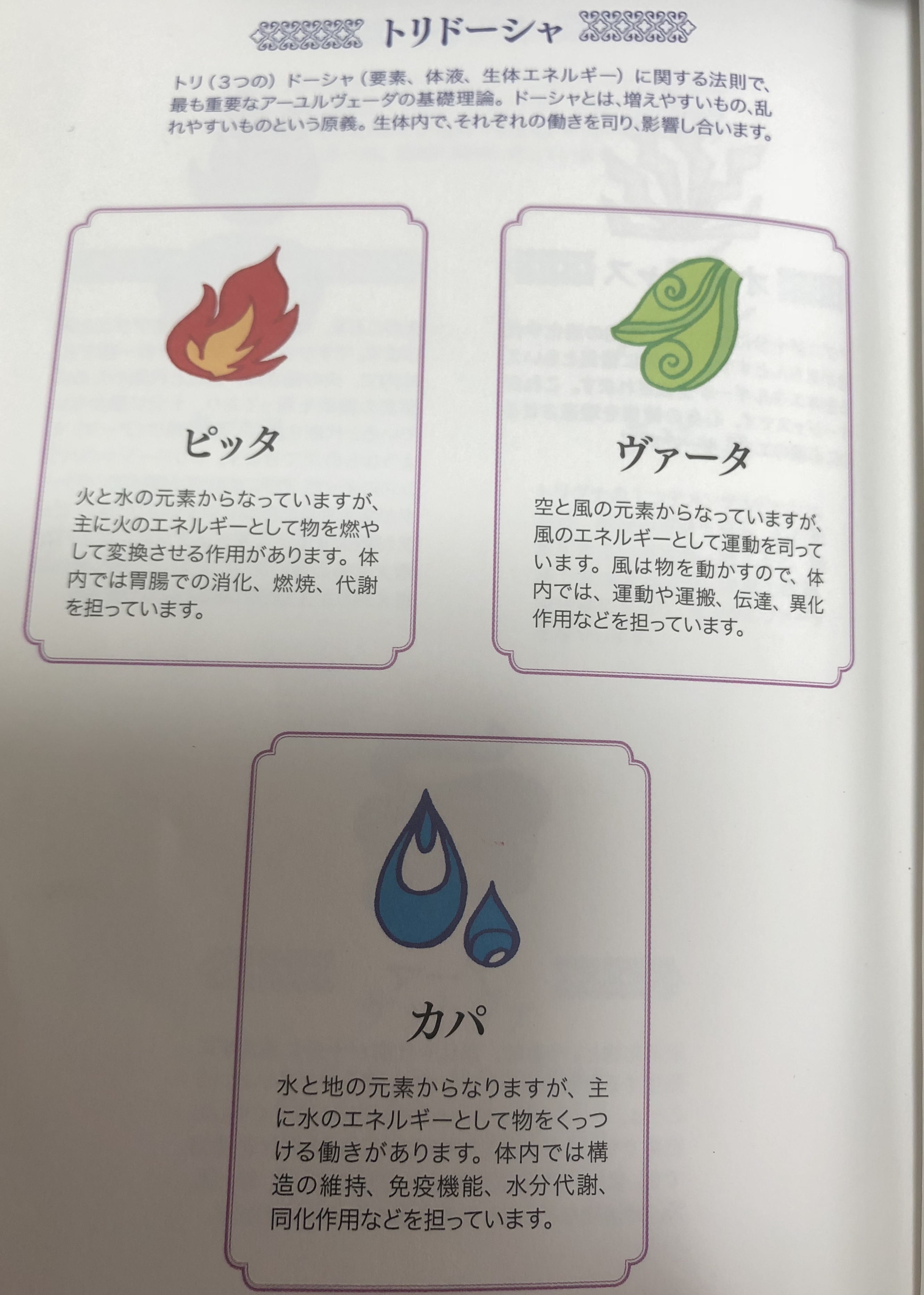 身体を動かすエネルギー | 越谷市 せんげん台 50歳からのお肌のたるみ 身体を動かすエネルギー | 越谷市 せんげん台 50歳からのお肌のたるみ