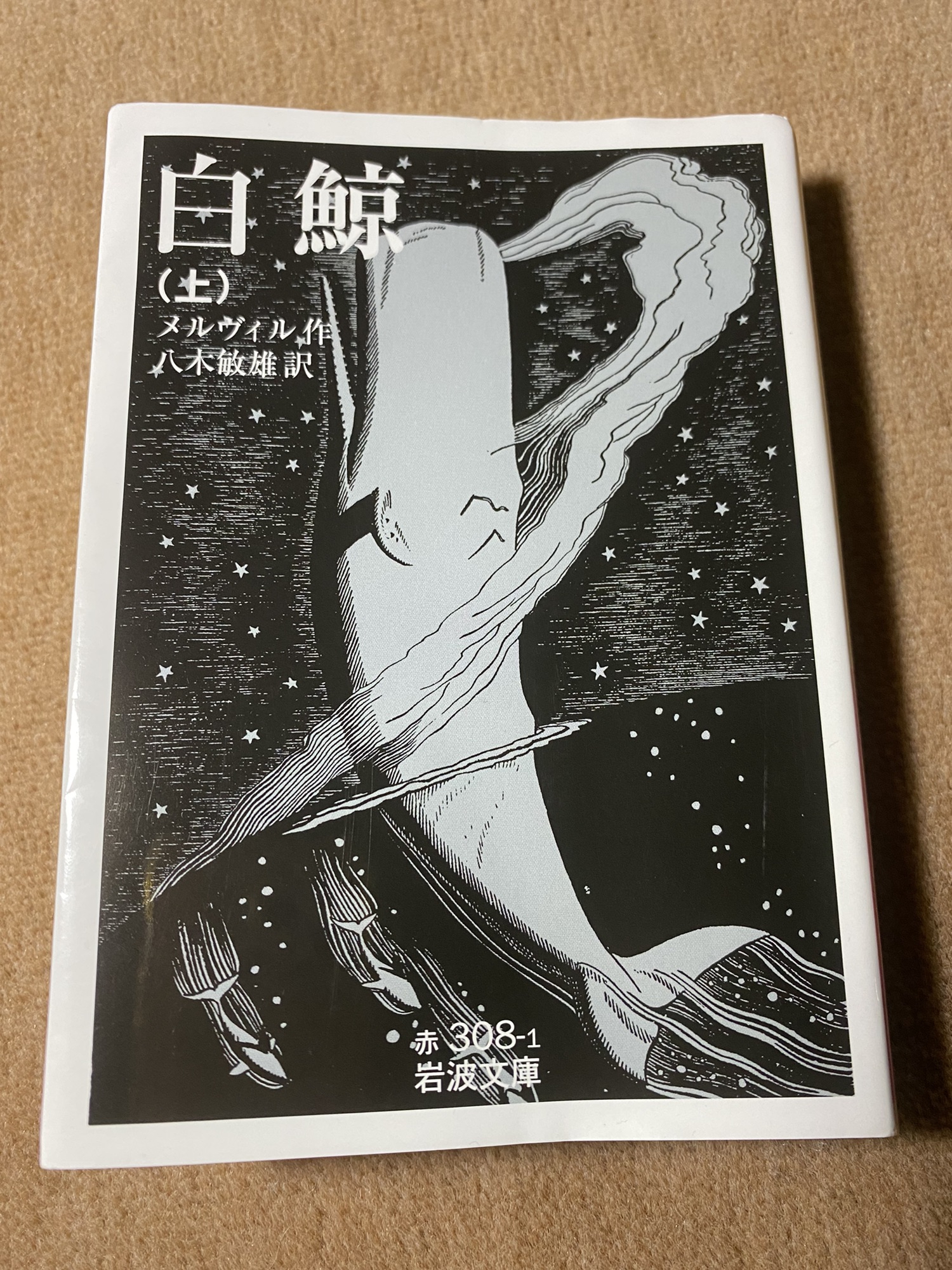 鯨とテキスト  メルヴィルの世界 メルヴィル全集 本巻全11巻＋別冊『鯨とテキスト』 全12巻揃 訳