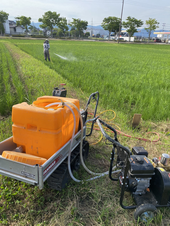 除草剤を散布しました | たきちゃん農場