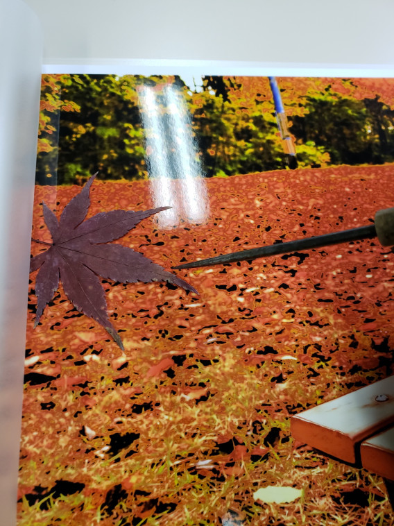 押し葉を使って味のある作品に Nagaokauniv Photo Club 押し葉を使って味のある作品に Nagaokauniv Photo Club