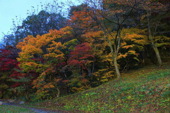 悠久山 夜の紅葉とシャッタースピード Ss のお話 Nagaokauniv Photo Club