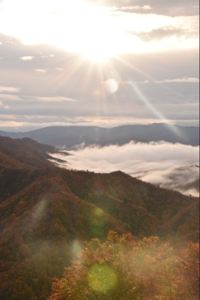 早朝の雲海 神秘的な光景 Nagaokauniv Photo Club 早朝の雲海 神秘的な光景 Nagaokauniv Photo Club
