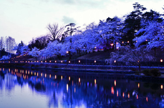 悠久山のライトアップ撮影とお知らせ Nagaokauniv Photo Club