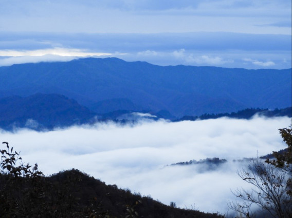 早朝の雲海 神秘的な光景 Nagaokauniv Photo Club 早朝の雲海 神秘的な光景 Nagaokauniv Photo Club