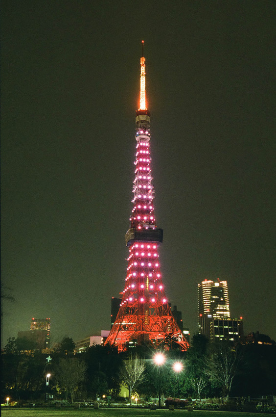 東京タワー ドリームピンク フィルム編 Tokyorose