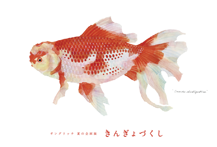 About | きんぎょづくし