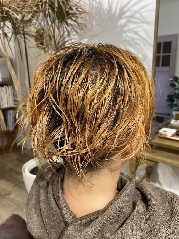 ブリーチオンカラー 脱白髪染め Un Logement アンロジュモン 那須塩原市 美容室