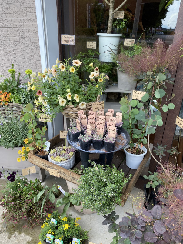 ポポラス植物店 Un Logement アンロジュモン 那須塩原市 美容室 ポポラス植物店 Un Logement アンロジュモン 那須塩原市 美容室