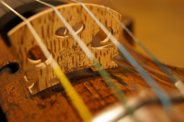 Old British violin by Richard Duke,London,ca.1770 | オールド 