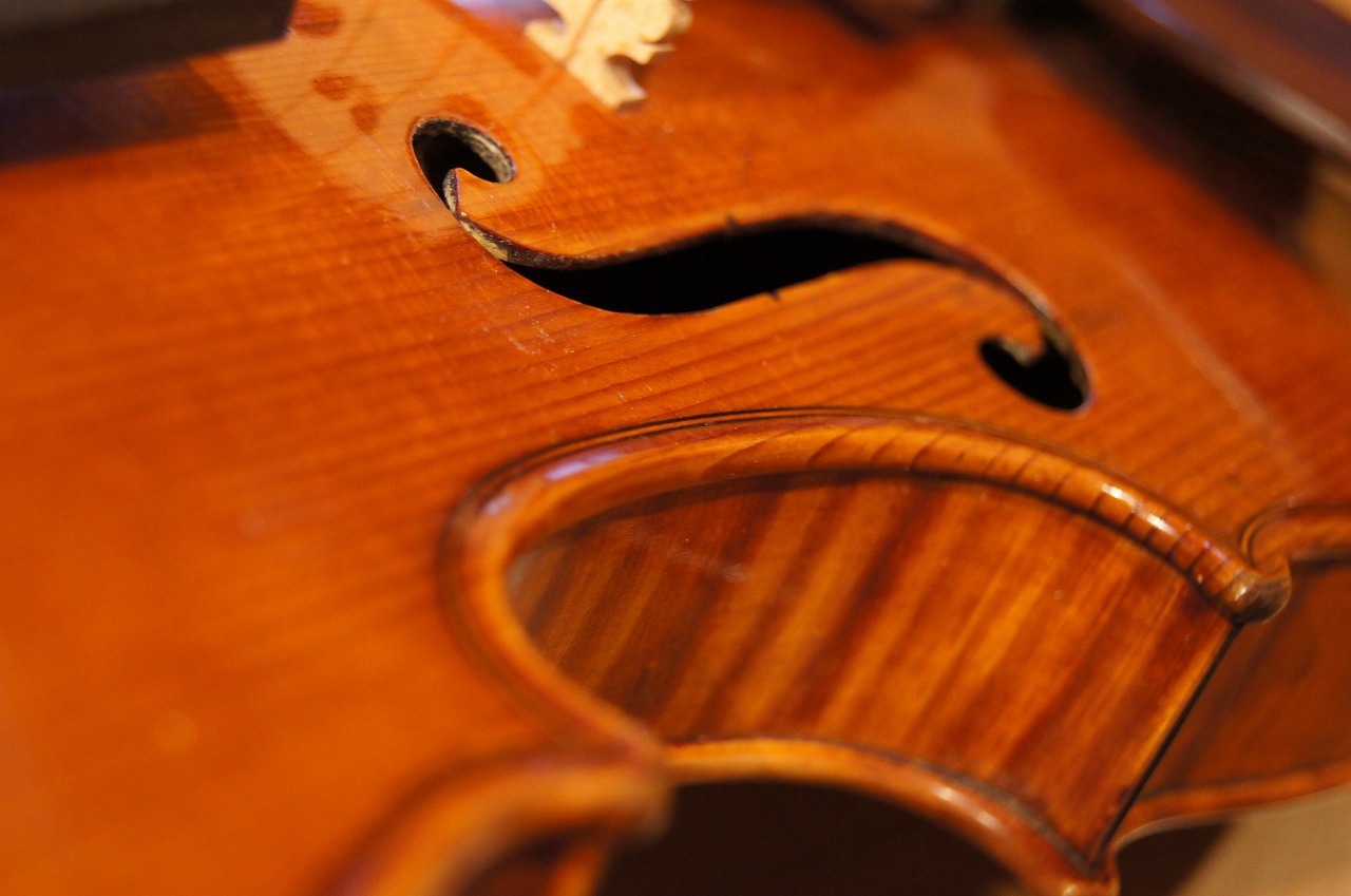 Old French violin by Nicolas Vuillaume ( Stentor 1) | オールド