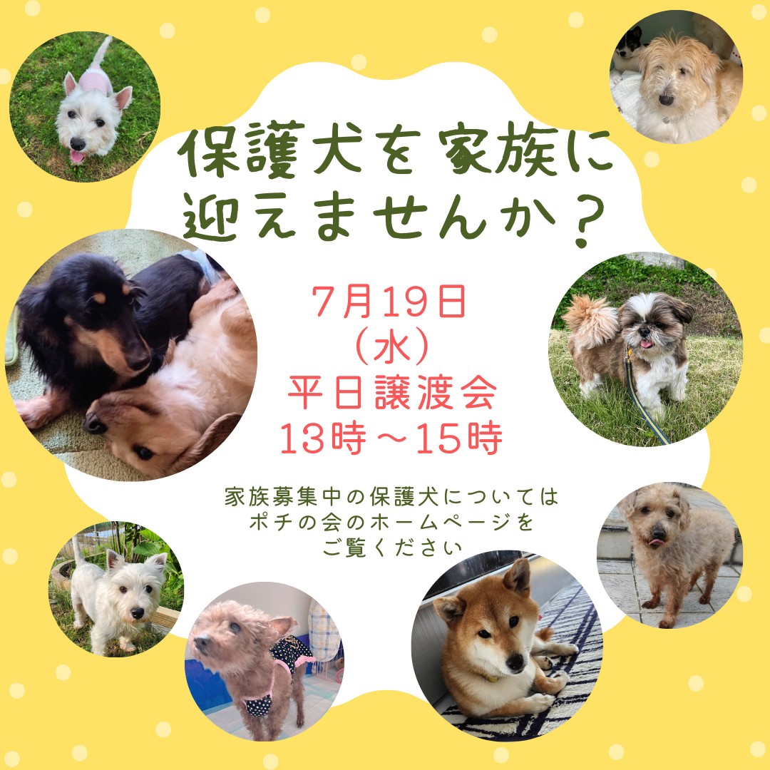 ポチん犬様へ