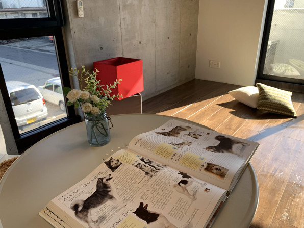 コンクリート打ち放し と シンプルモダンの室内デザイン Guide