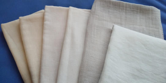 チャレンジ草木染め ブルーベリー 愛され着物いずみ 出張着付け 着付け教室 川崎市 溝の口