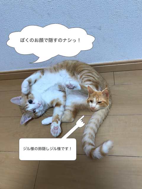 ユキ様 ジル様 レン様 ちびたん様 笑猫 ユキ様 ジル様 レン様 ちびたん様 笑猫