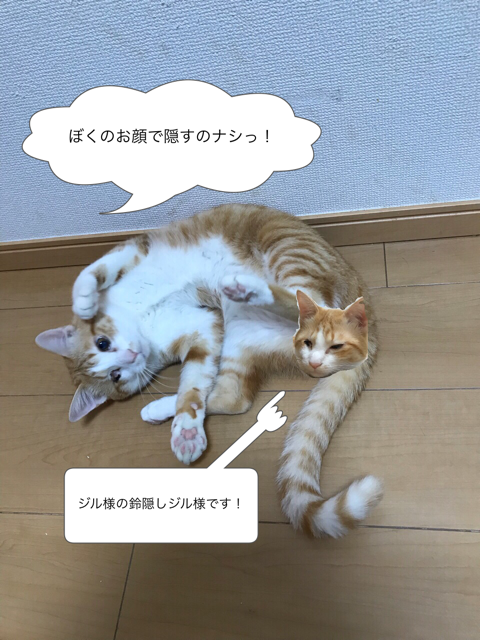 ユキ様 ジル様 レン様 ちびたん様 笑猫