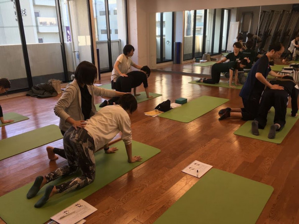 12 14 15 Polestar Pilates Gateway Mat 理学療法 ピラティス ヨガ 骨盤底筋エクササイズ