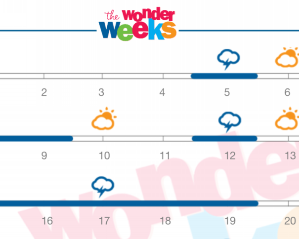 生後1ヶ月のリープ１に入った子のぐずり方 メンタルリープ研究所