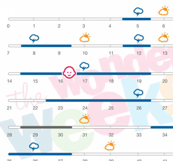 生後4ヶ月半頃のメンタルリープ４のぐずり方 メンタルリープ研究所