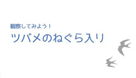 コントラスト比はなぜ重要なの アクセシビリティの観点から考えるコントラスト比 大阪で働くウェブディレクターのブログ