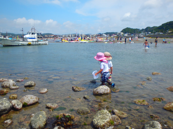 海の遠足 磯遊び 森のようちえん芽
