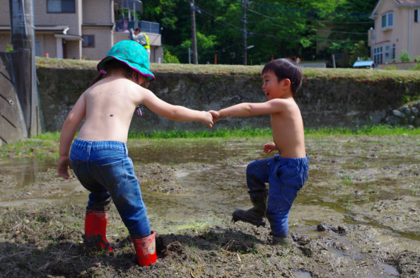 田んぼで泥遊び 森のようちえん芽