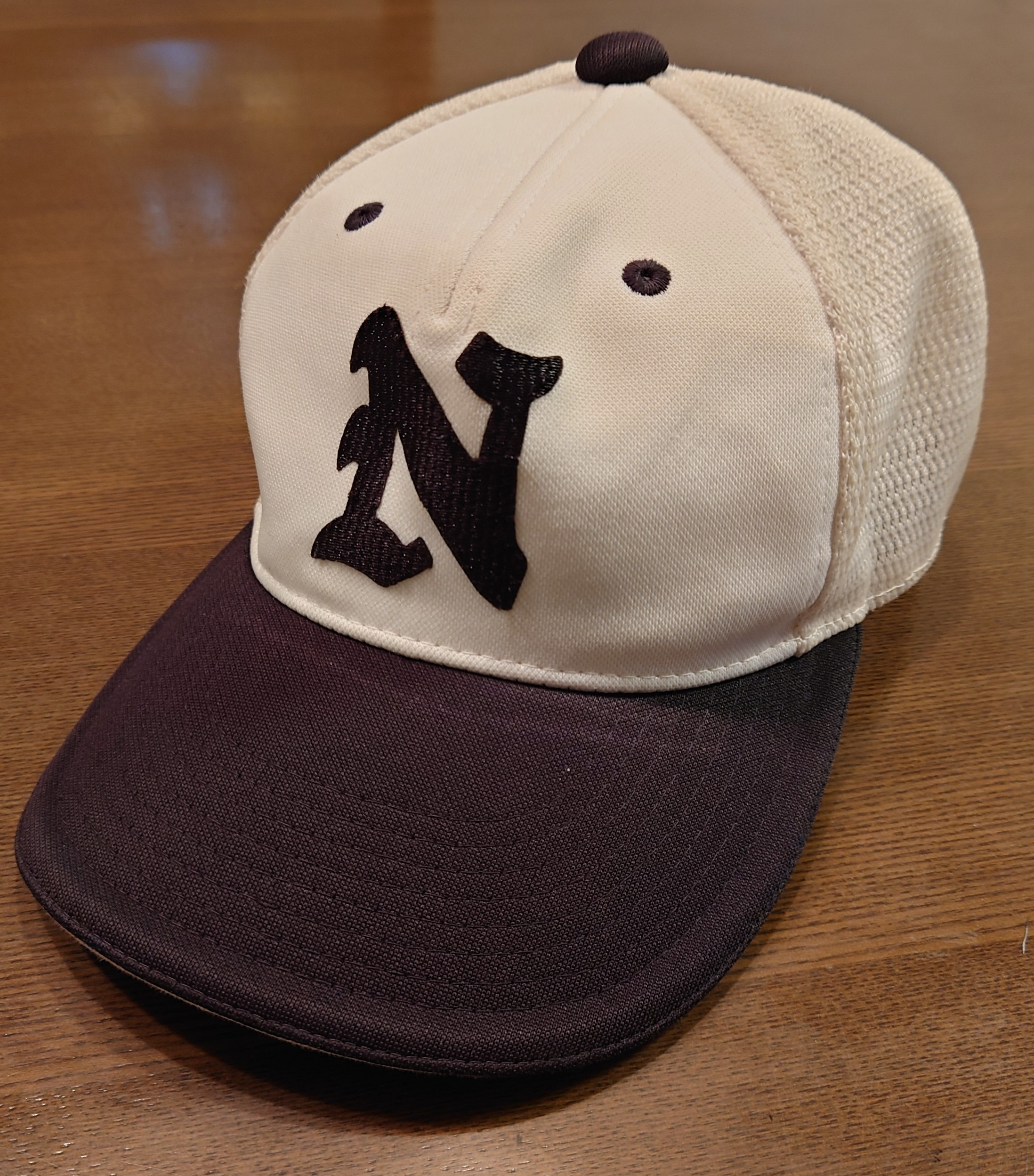 中瀬野球部 ホームページ作りました！ | 杉並区立中瀬中学校 野球部