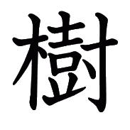 書道 『樹』 書道 『樹』