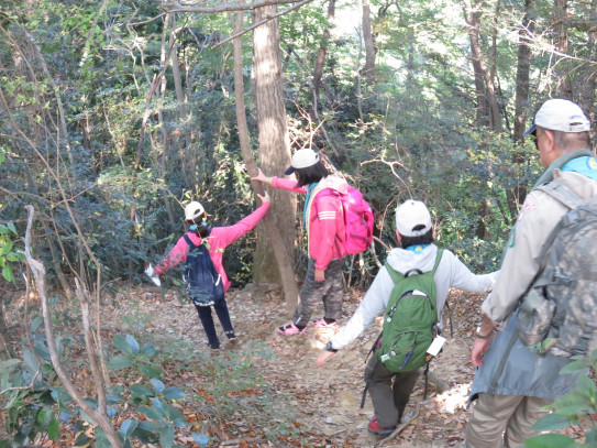 隊ハイク 草戸山 11月12日 ボーイスカウト葛飾第9団