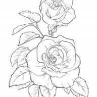 ０期生募集 コロリアージュ カラーアドバイザー資格取得講座 Coloriage Ownd