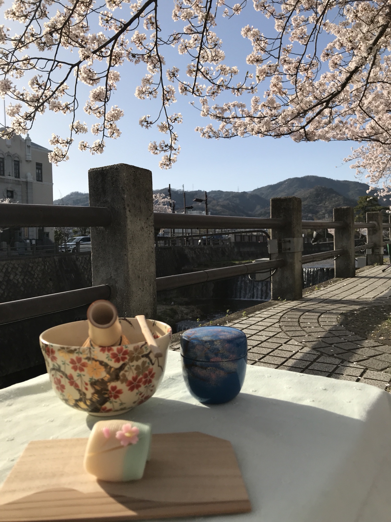 お花見 〜野点〜 | 三日月茶道教室