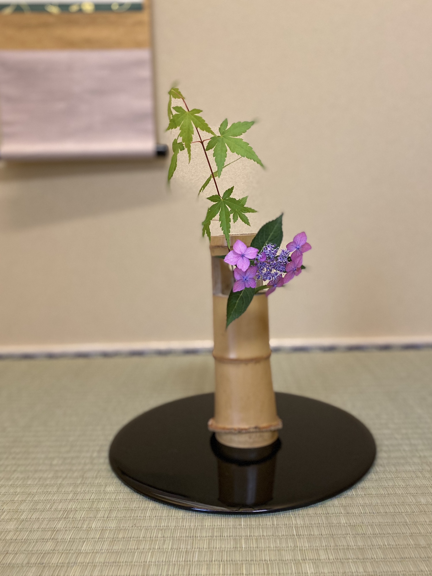 3a8a1ec5554a8e9e44aa11c4b9f2f4