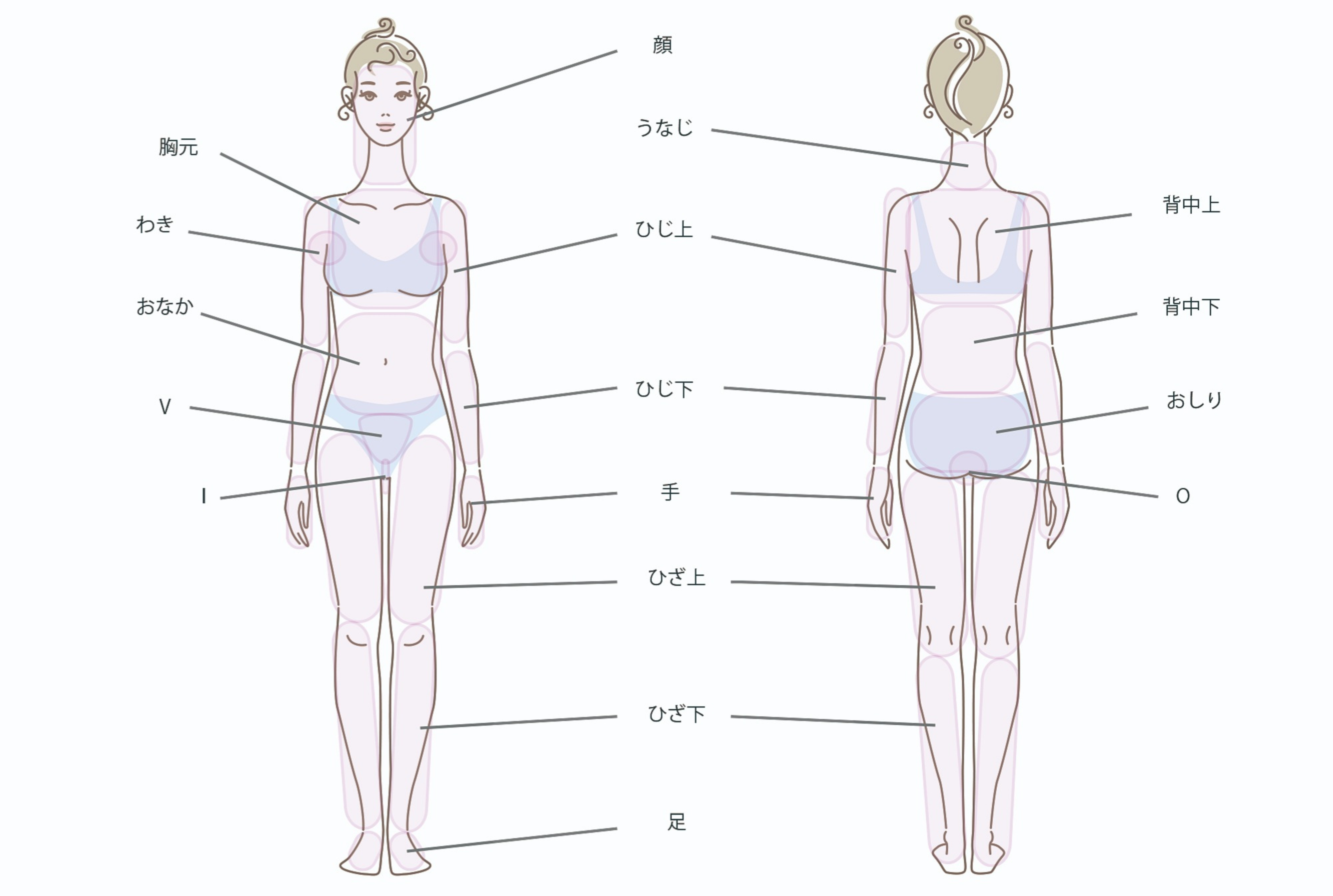 女性の脱毛パーツ範囲図