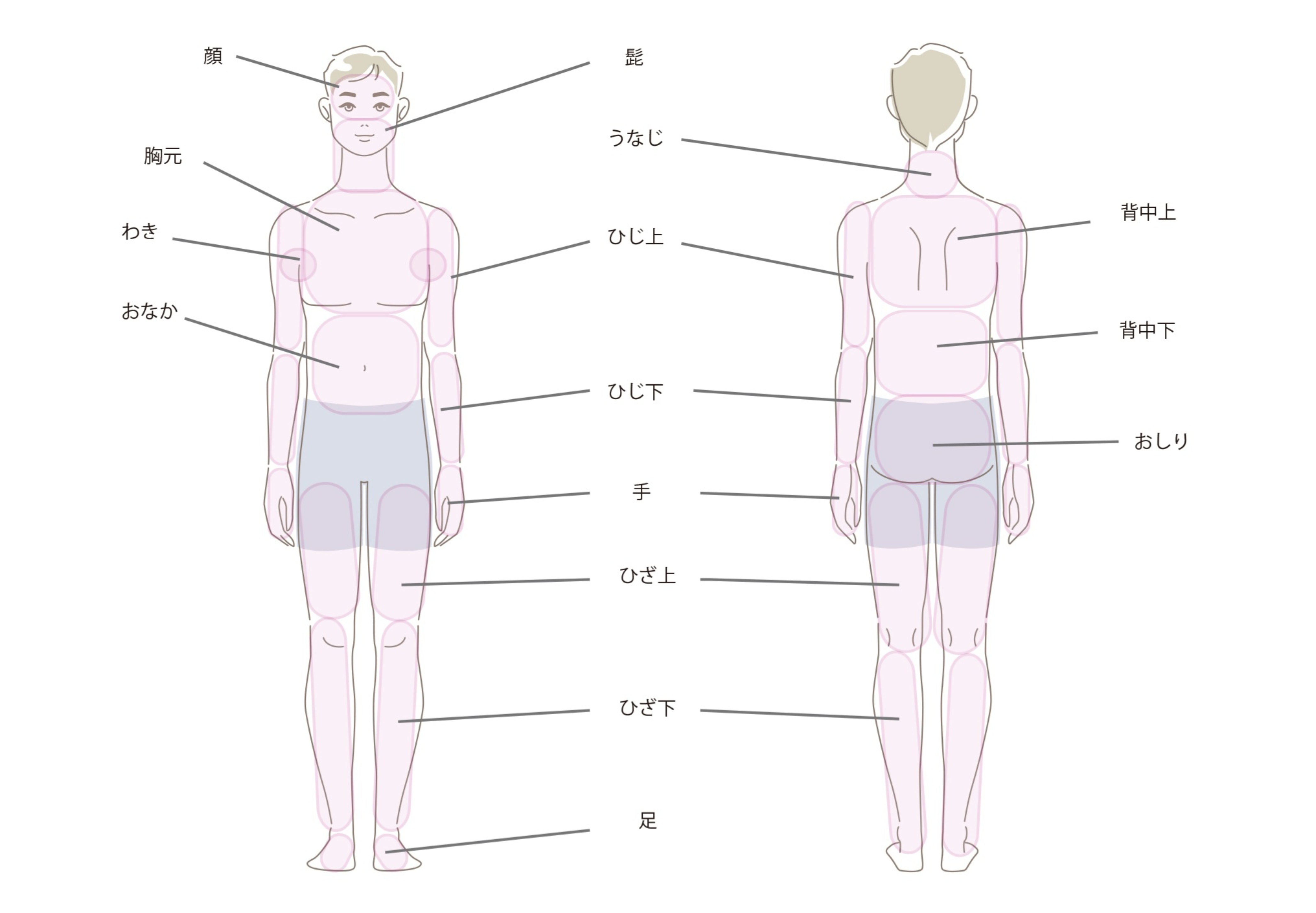 男性の脱毛パーツ範囲図