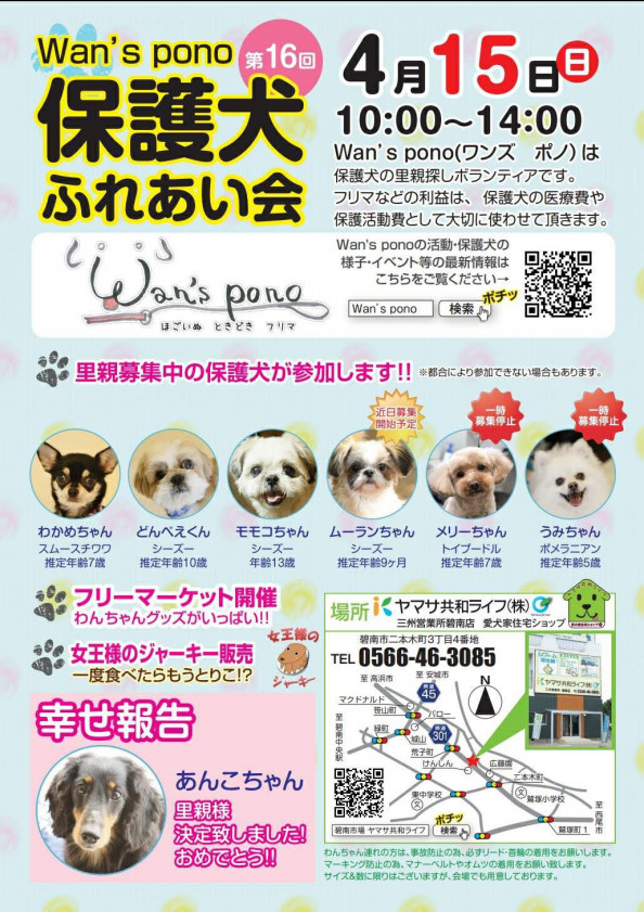 一時預かりボランティア様緊急募集 訂正あり Wan S Pono