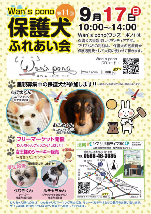 明日の保護犬ふれあい会について Wan S Pono