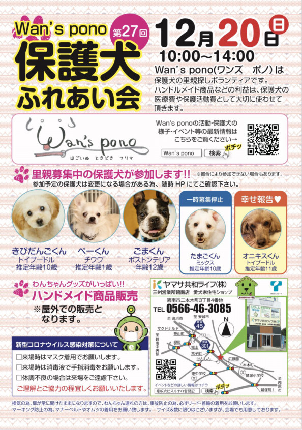 選択した画像 犬 ゴマちゃん 犬 ごまちゃん 選択した画像 犬 ゴマちゃん 犬 ごまちゃん