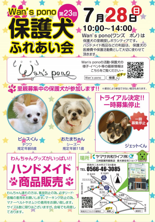 卒業犬ミニピンモナカちゃんの近況報告 Wan S Pono